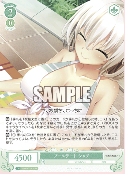 【OS03/R03-P16 PR】プールデート シャチ