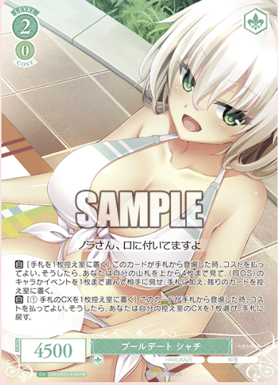 【OS03/R03-P16S PR】プールデート シャチ