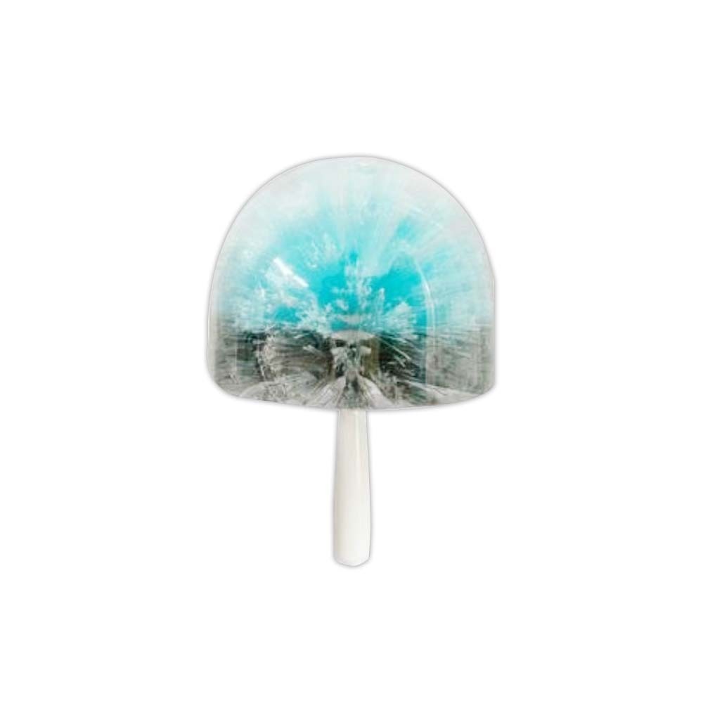 【金馬牌】伸縮柄清塵球