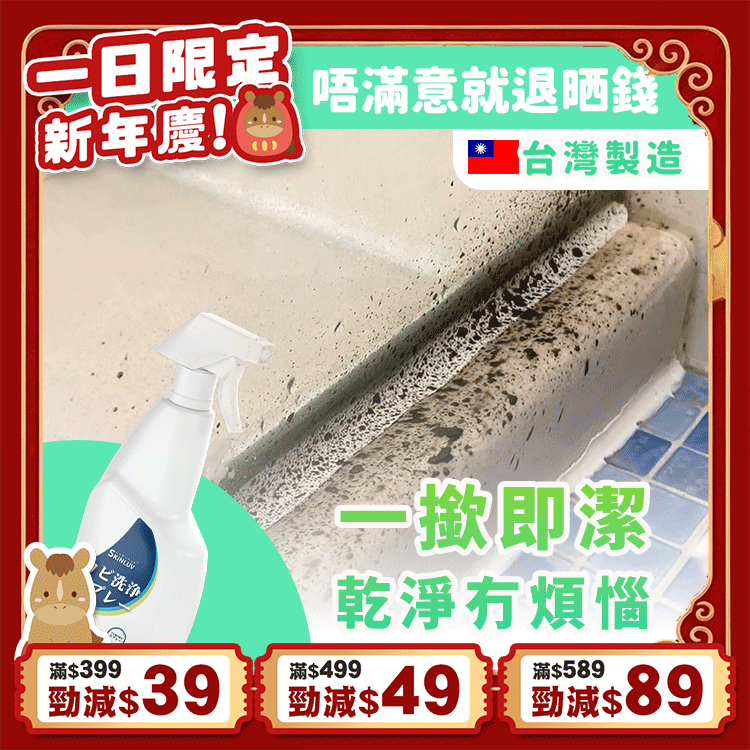 《台灣製造》霉問題 泡沫去霉劑  (今天出隔日到)