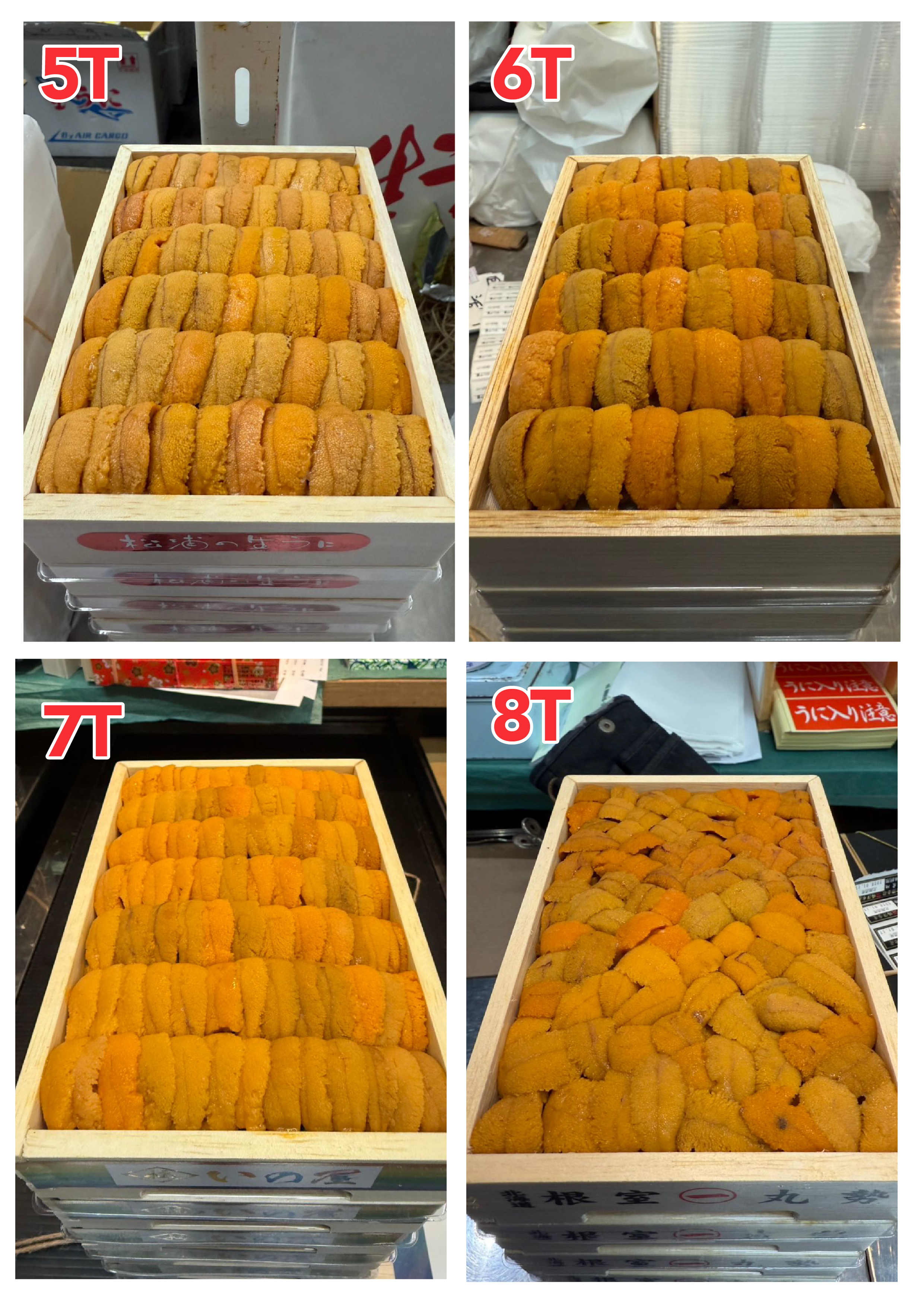 【指定海膽推薦】每天更新 (限即日落單, 翌日送)