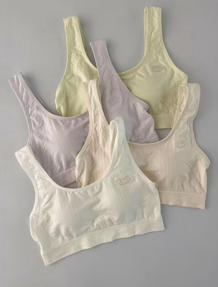 HH46 中童內衣 $299