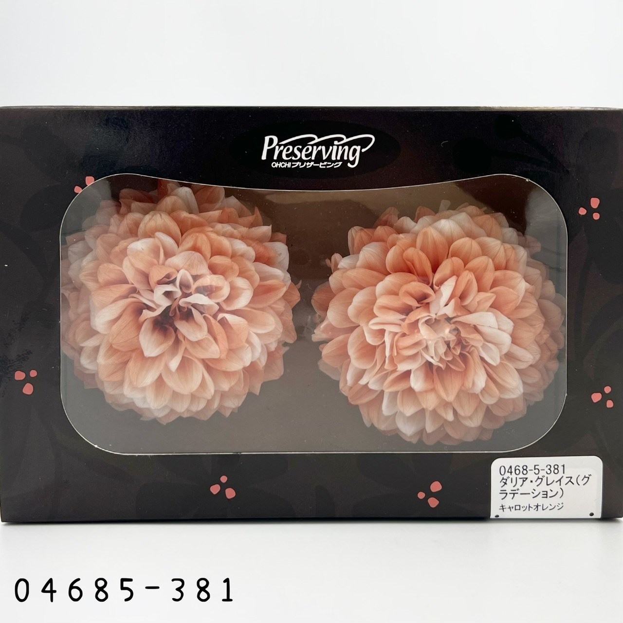 日本不凋漸層大理花(2朵/盒) 04685-381