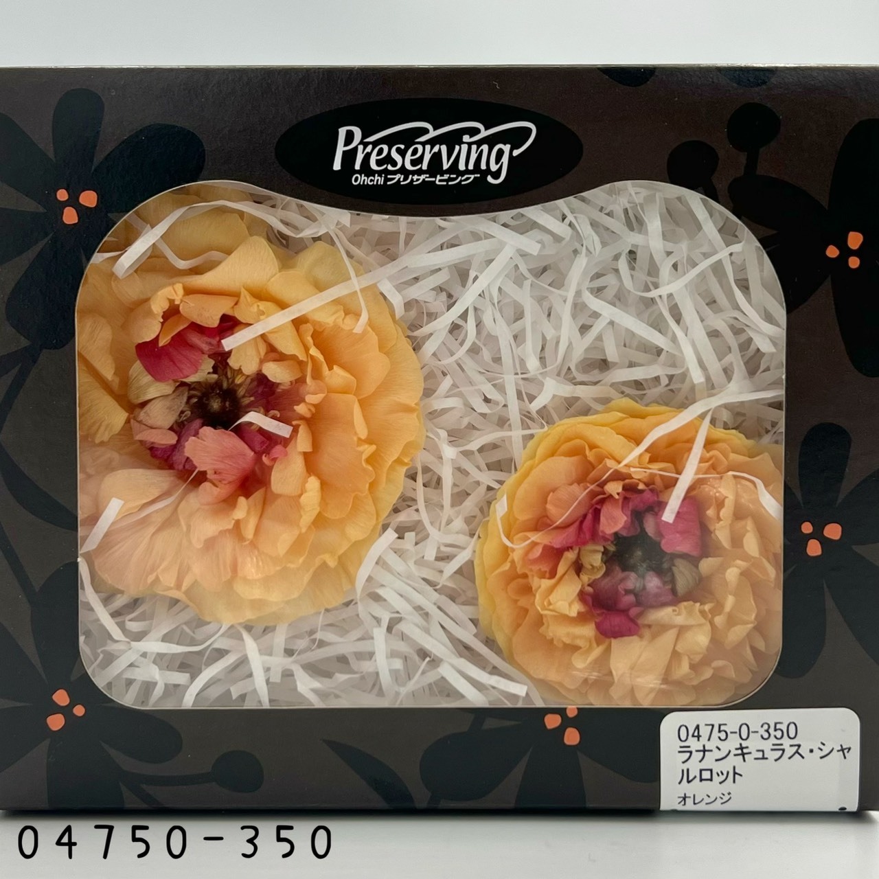 日本不凋蝴蝶陸蓮04750-350