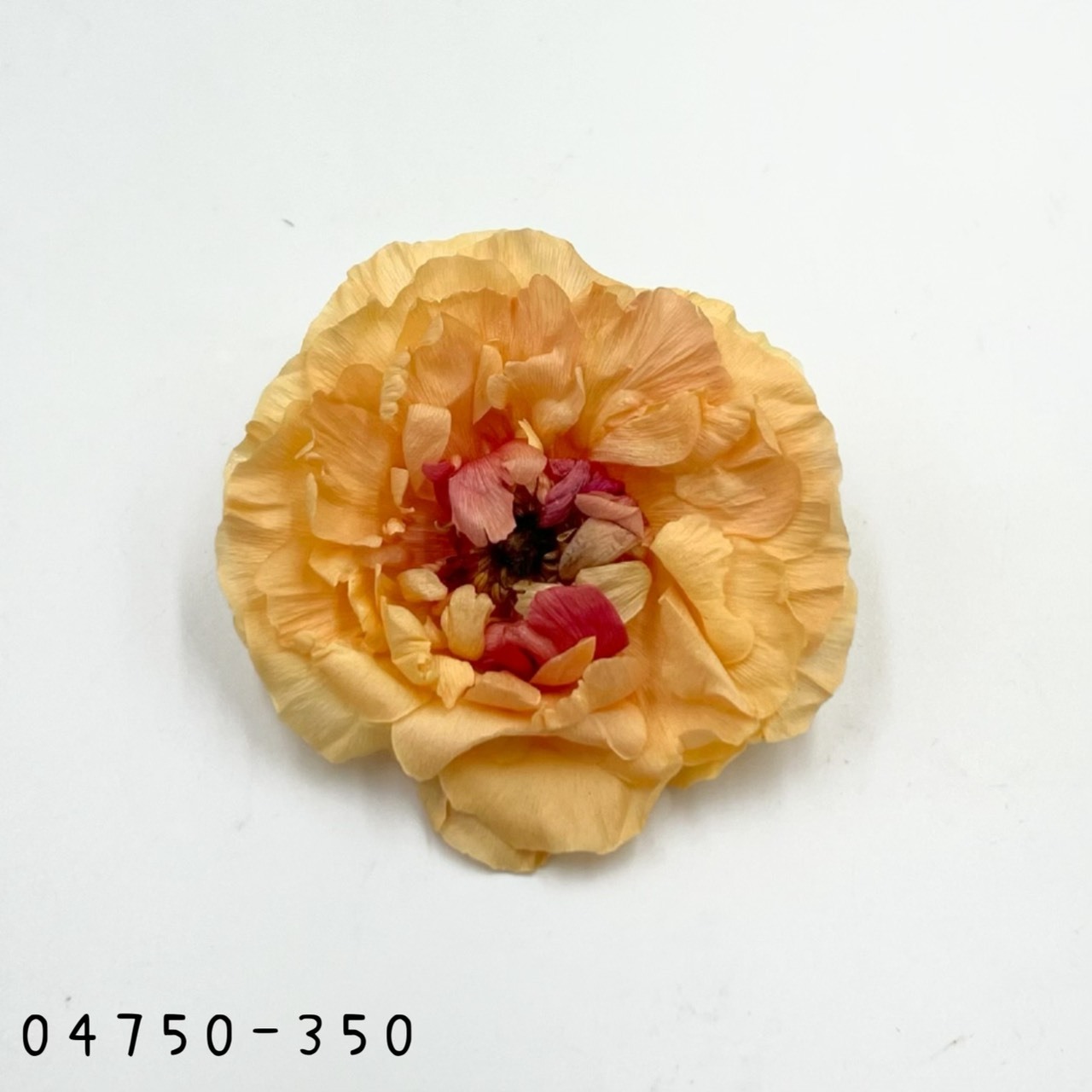 日本不凋蝴蝶陸蓮04750-350