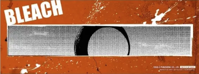 BLEACH死神 愛藏版 #13（首刷限定版）