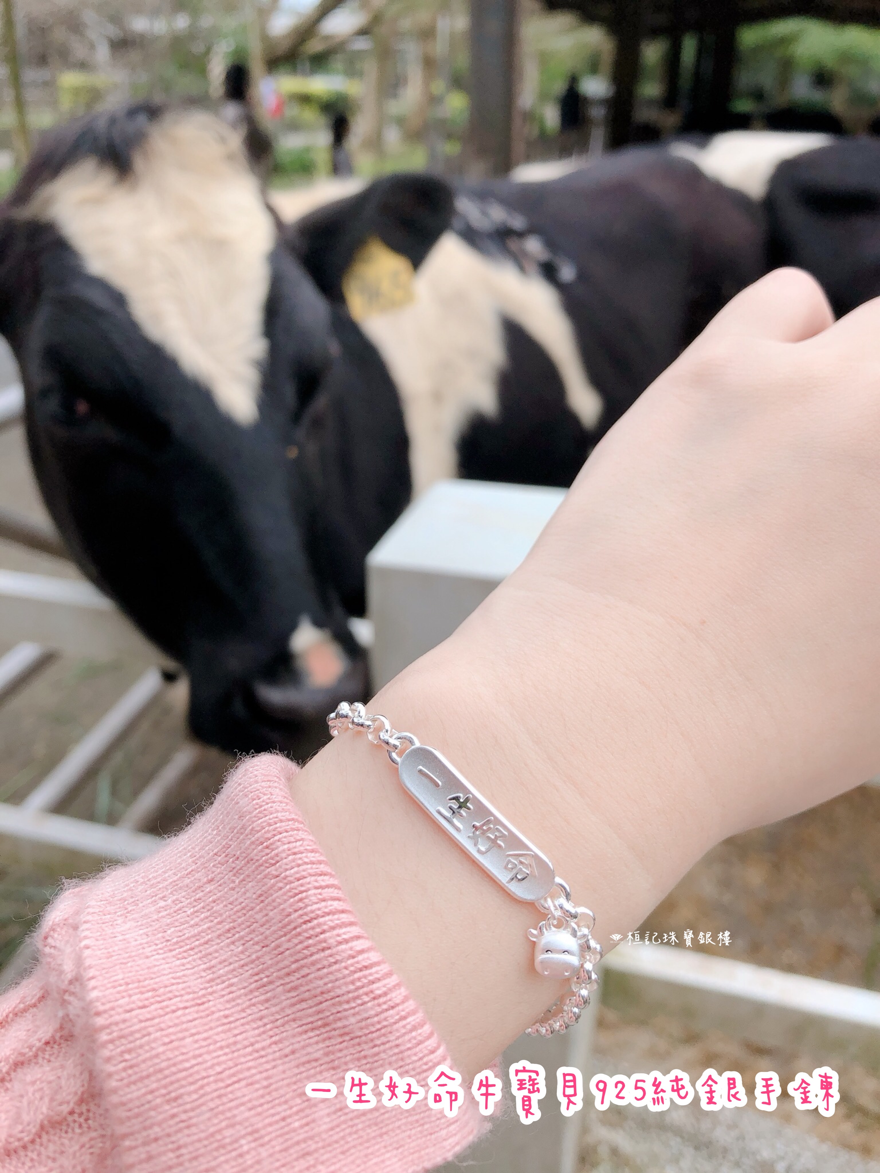 一生好命牛寶貝 純銀手鍊