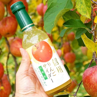 【6支優惠】信州蘋果梳打汽水 果汁梳打 240ml 日本直送 此日期前最佳：2027/1/3