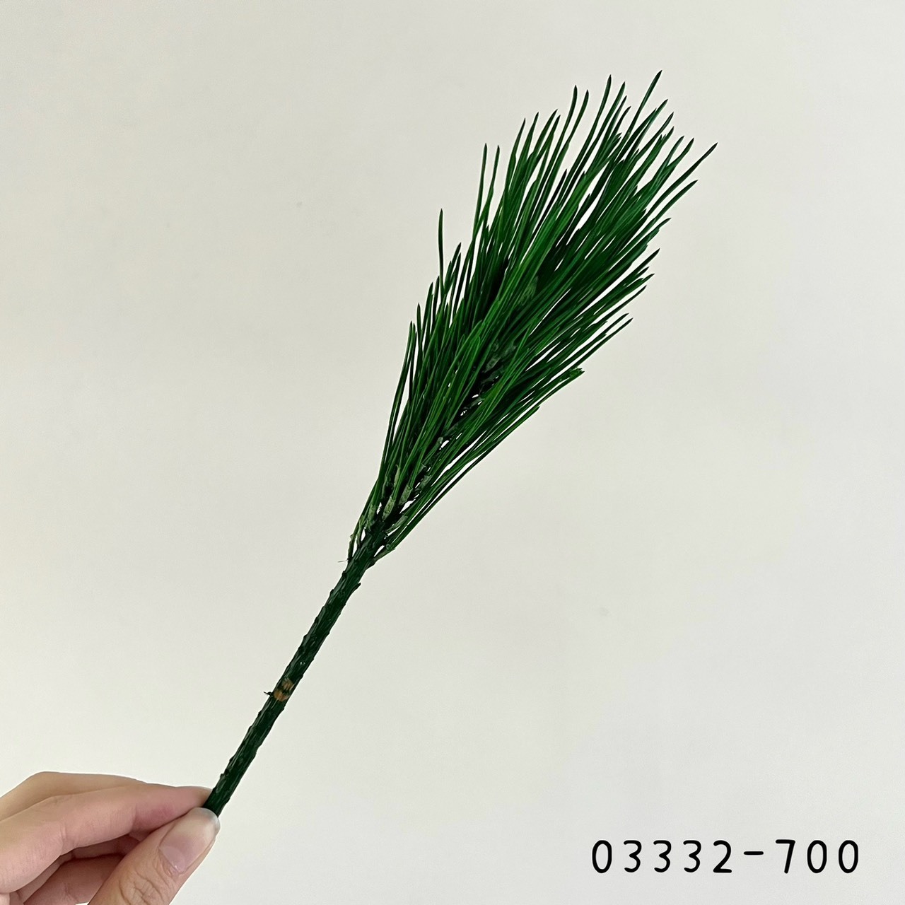 日本不凋都松 03332-700