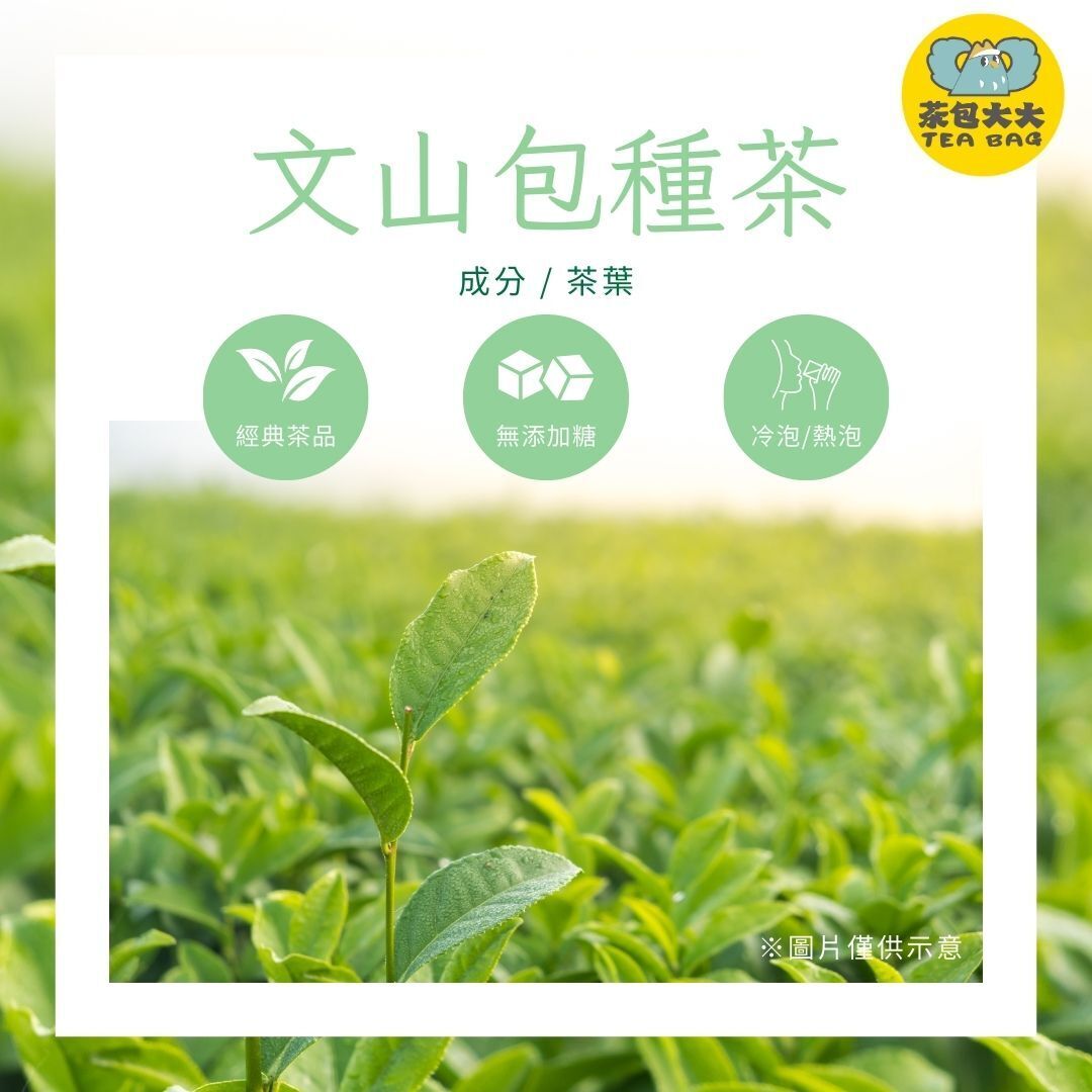 文山包種茶(15入/袋)
