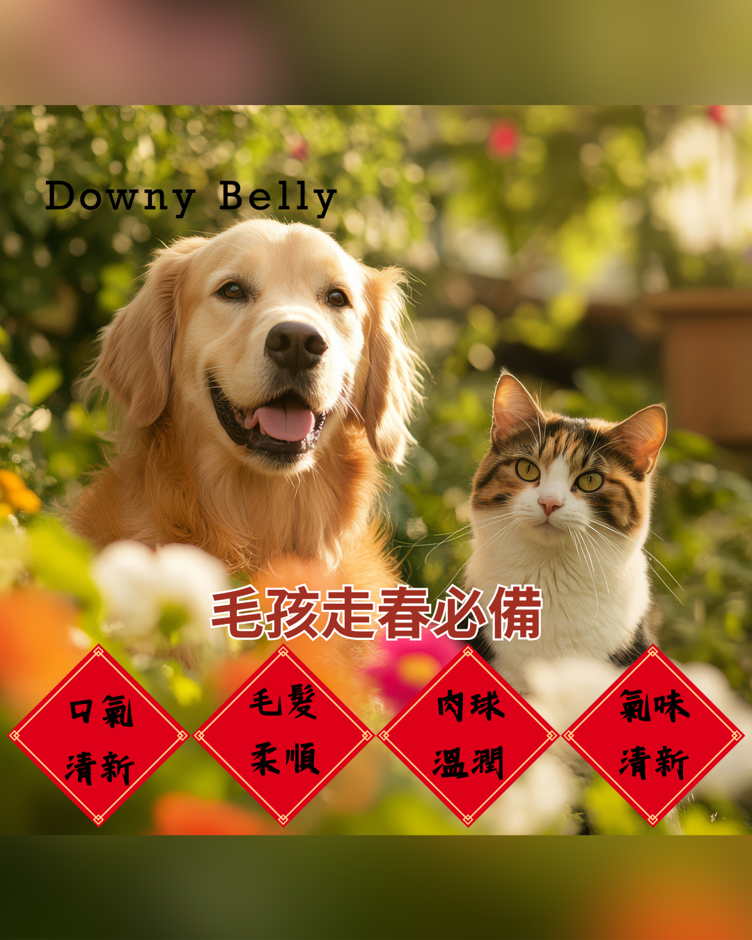 毛孩寵物走春，毛髮滑順清新怡人