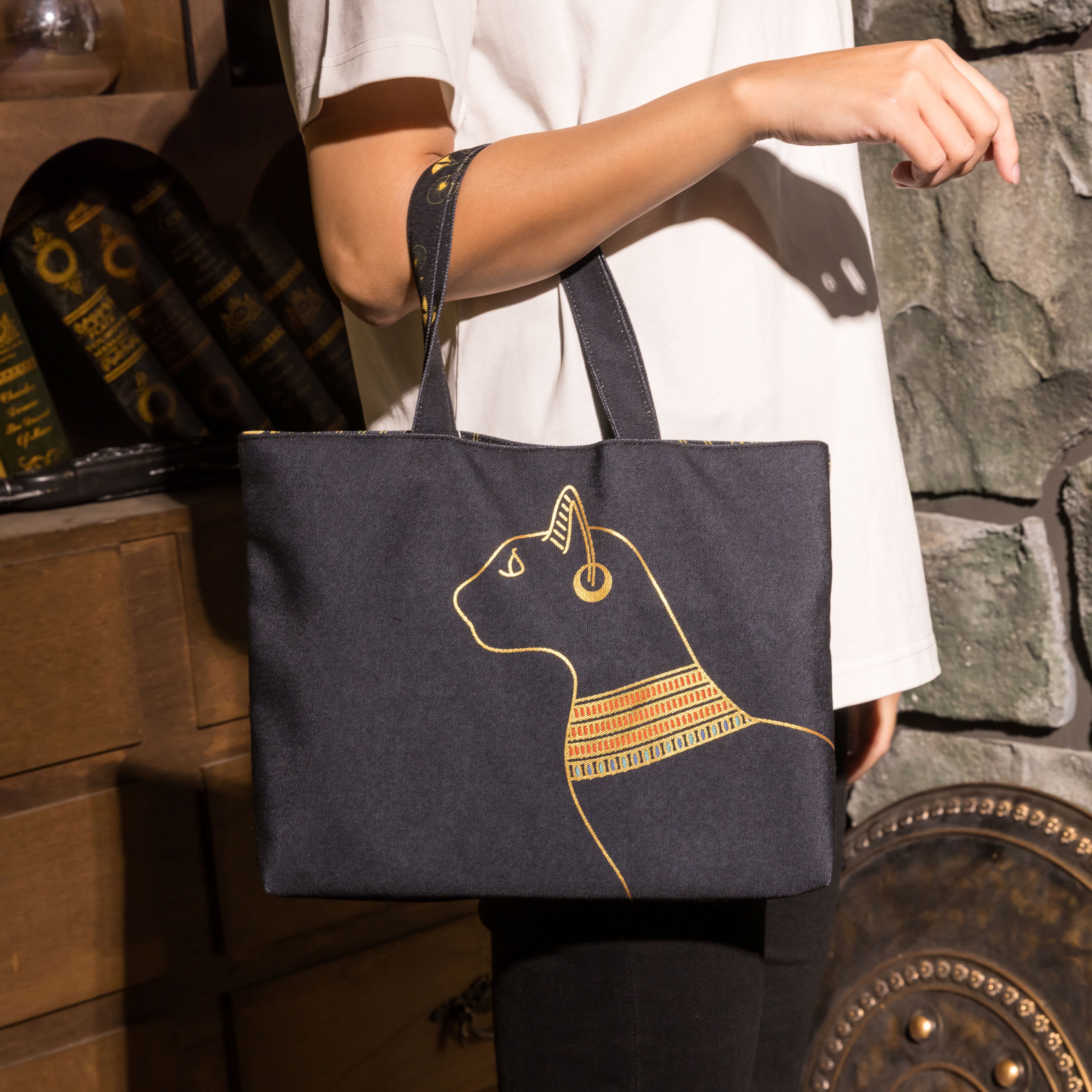 世界古文明小提袋｜安德森貓