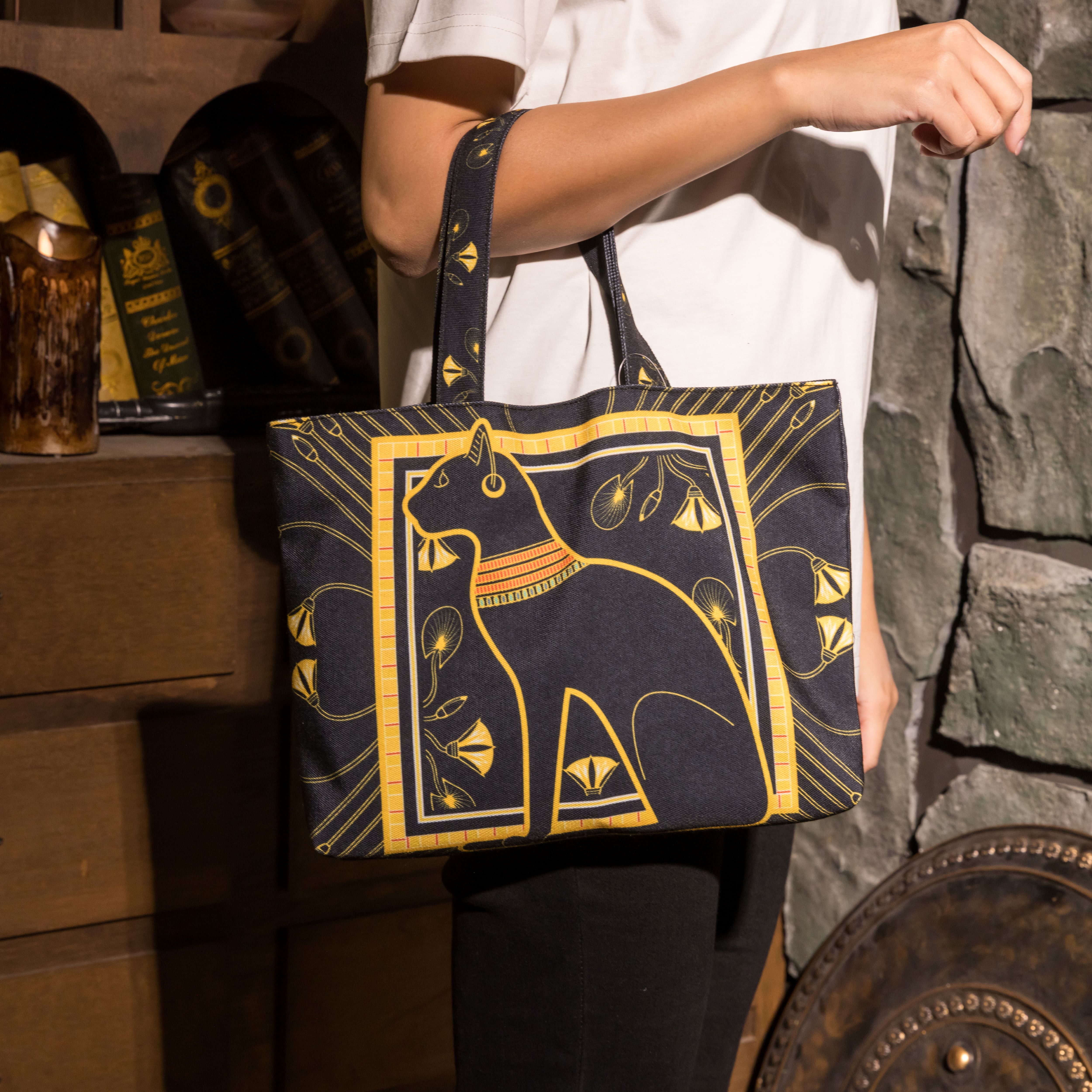 世界古文明小提袋｜安德森貓