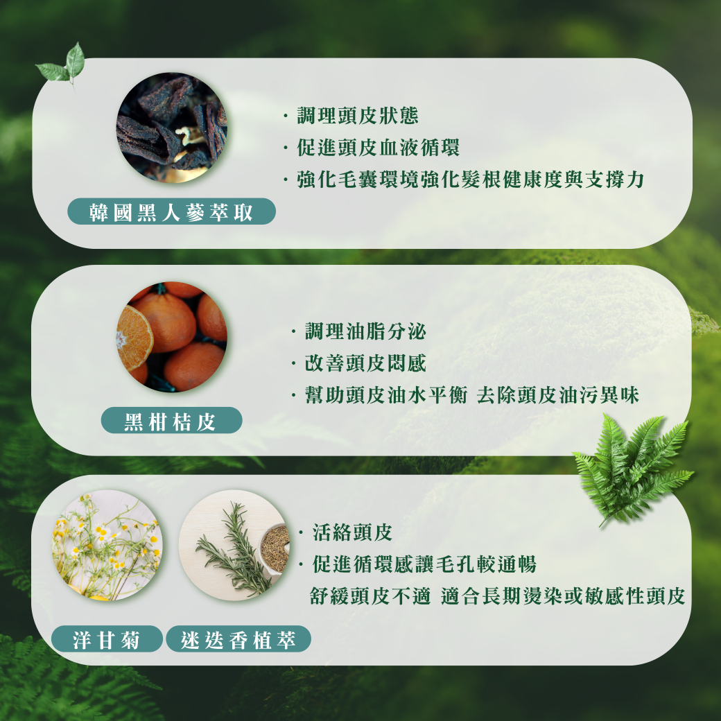 去角質凝露,頭皮角質調理,頭皮清潔保養,溫和去角質,頭皮深層清潔,黑人參萃取,黑蒜萃取,黑柑橘皮萃取,黑系植萃,洗髮前保養,頭皮基礎調理,定期頭皮清潔,頭皮清爽保養,油性頭皮適用,悶癢頭皮清潔,日常頭皮保養,頭皮去角質