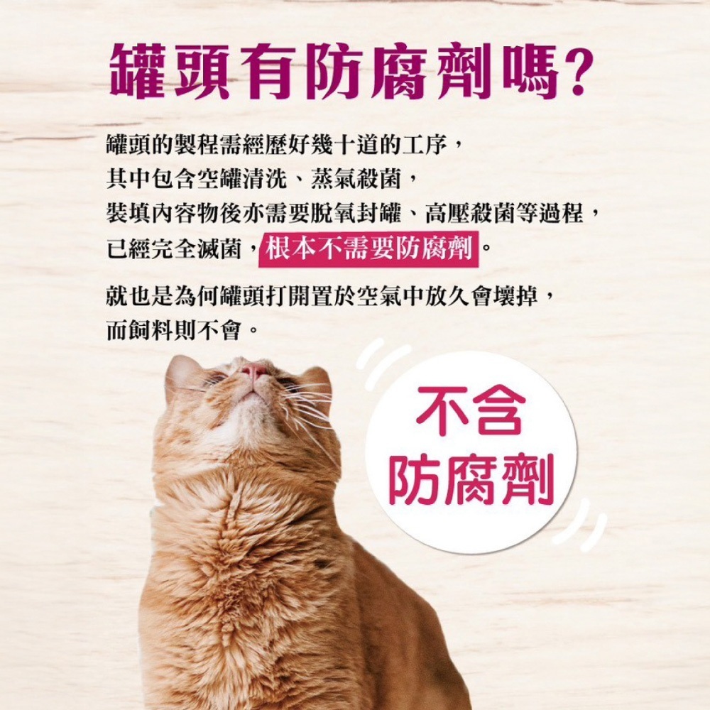 SEEDS惜時 MyCat貓咪罐 【CW0031】