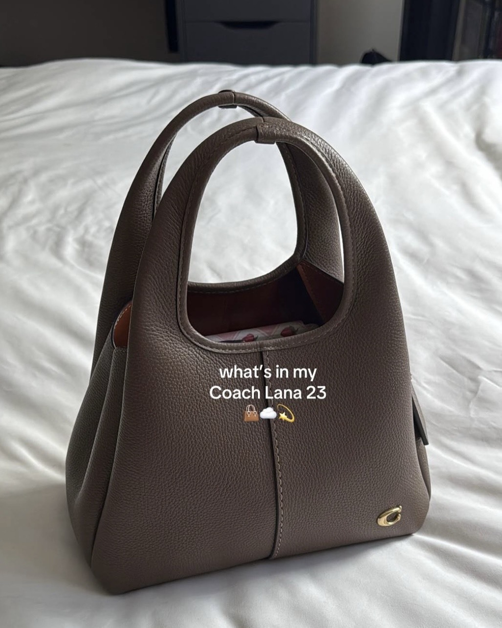 <美國超殺折扣>Coach Lana 荔枝皮 皮革 麂皮 手提包 側背包 三色