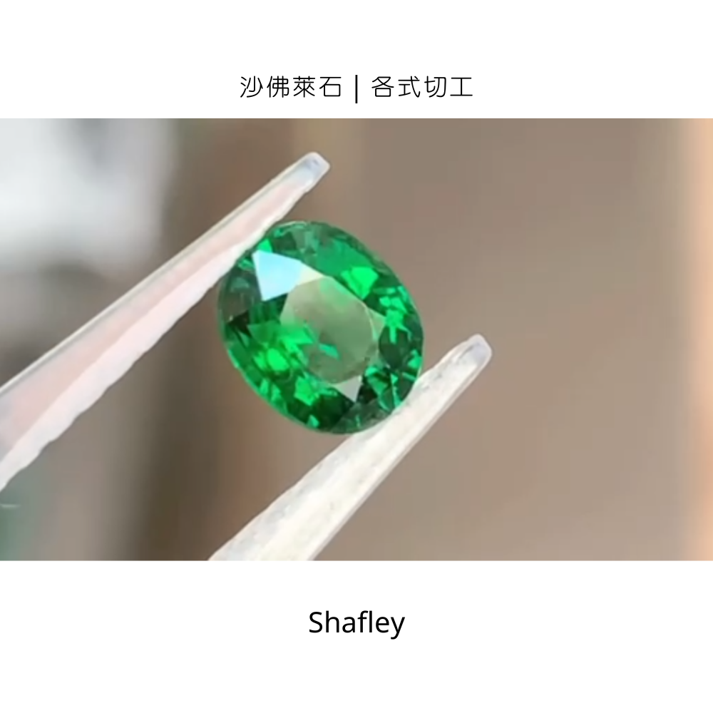 【輕奢藏家】沙佛萊 (Shafley)