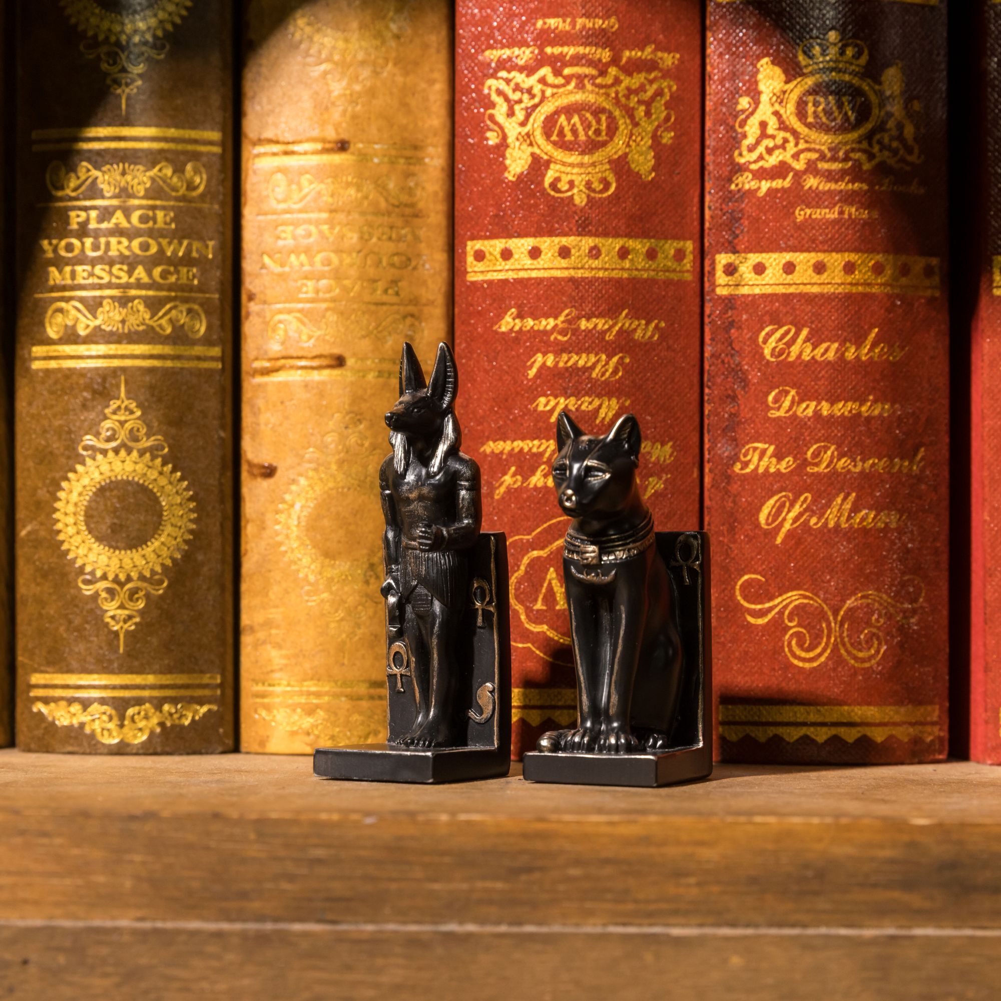 世界古文明 立體磁鐵｜安德森貓