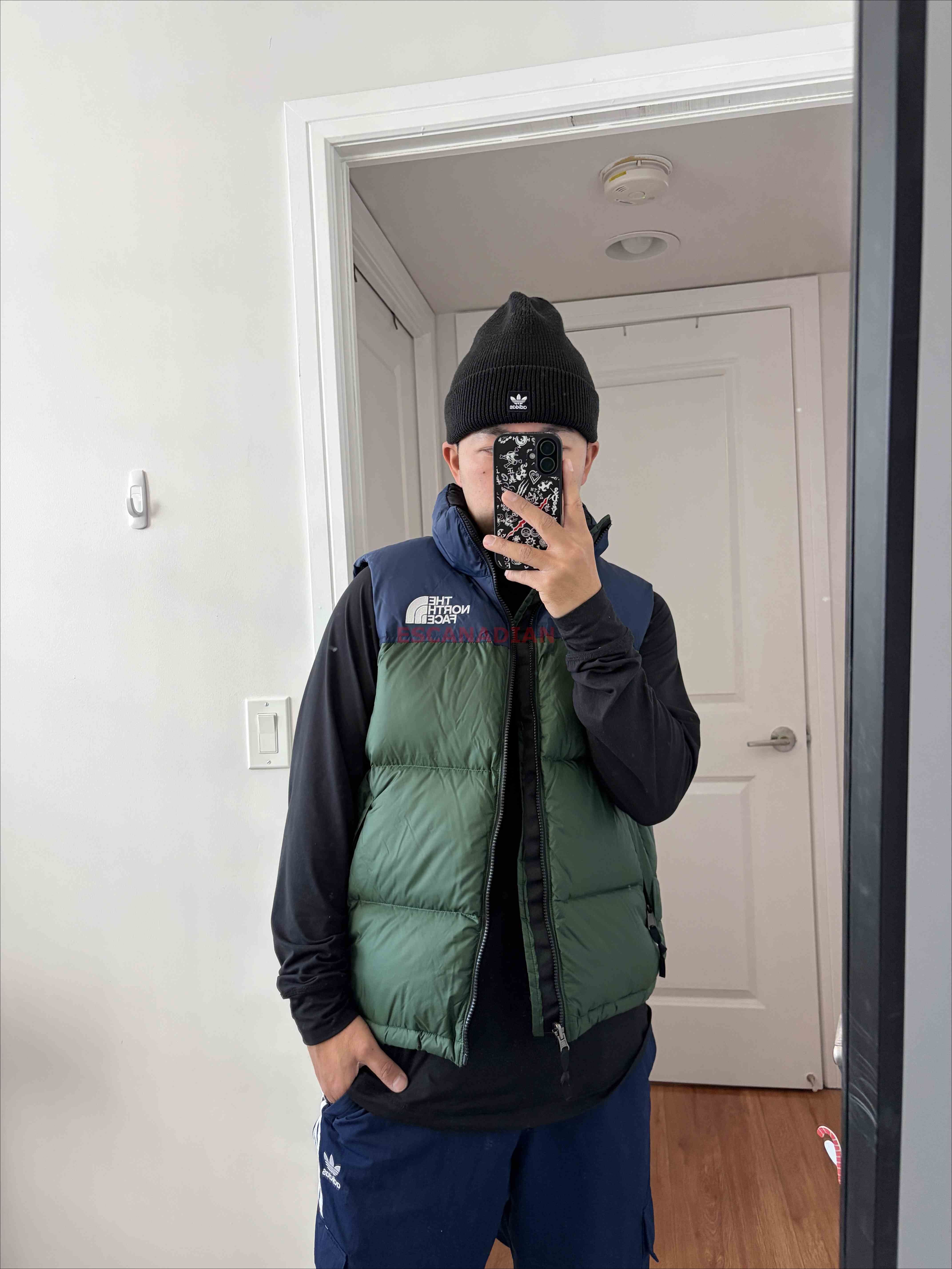 THE NORTH FACE 男大人 96系列 700蓬鬆羽絨 防潑水 刺繡標 背心 (有可收納帽)