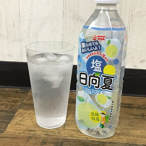【原箱24支裝】宮崎縣日向夏柑橘鹽味汽水  490ml 此日期前最佳：2027/1/1