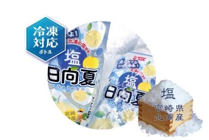 【6支裝】宮崎縣日向夏柑橘鹽味汽水 490ml 此日期前最佳：2027/1/1