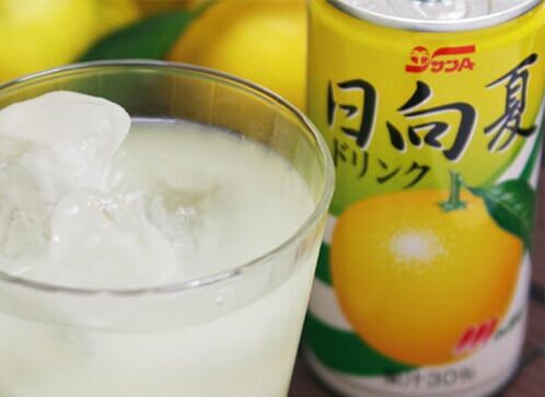 【原箱24罐裝】宮崎縣產日向夏柑橘30%果汁汽水190ml 此日期前最佳：2026/9/18