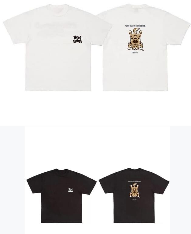 CF4703   Best Wish  T-Shirt  Free Size   $550 (兩件)