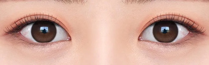 [10片裝]OLENS Rain 1day Choco 彩妝隱形眼鏡｜每盒10片