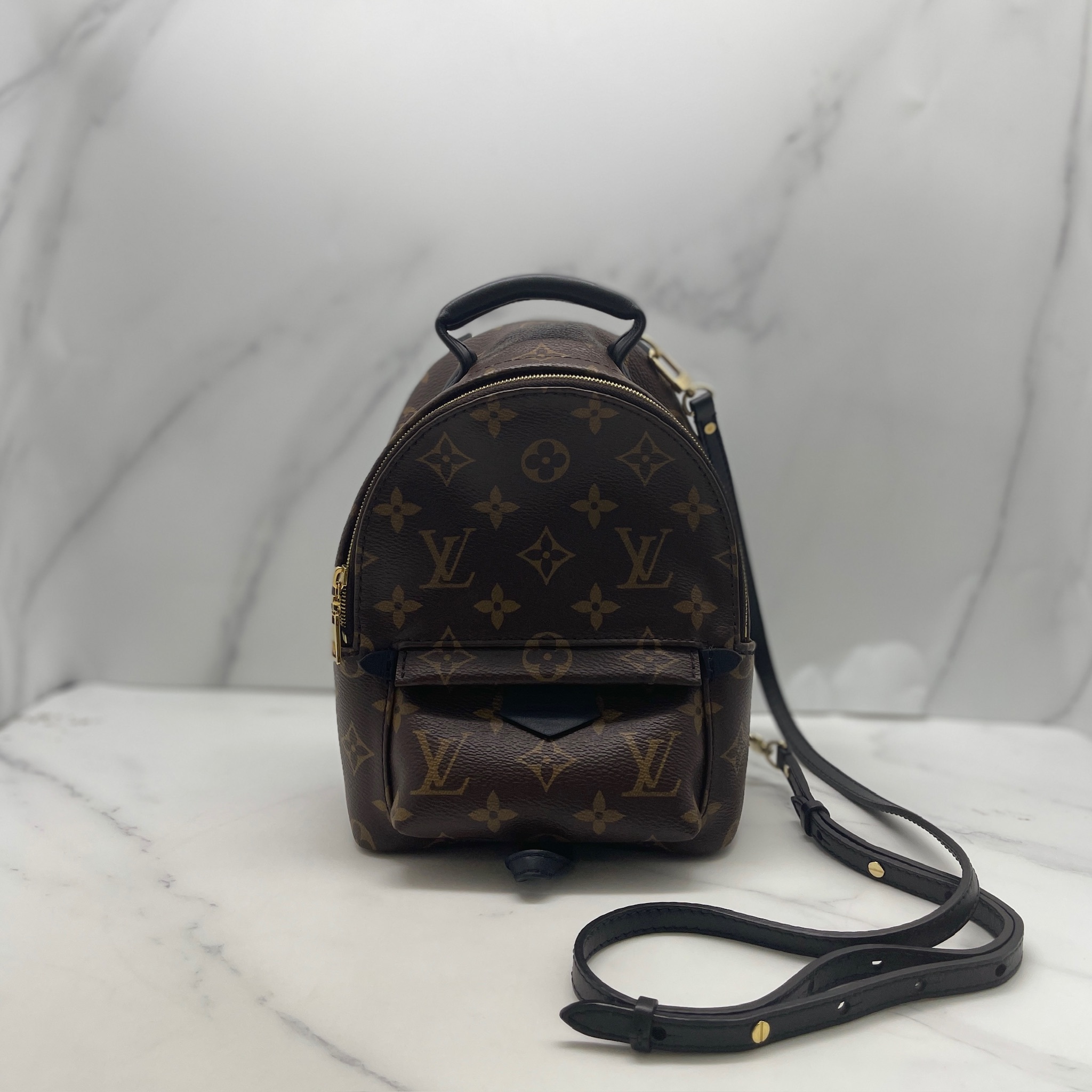LV Palm Springs Mini Backpack
