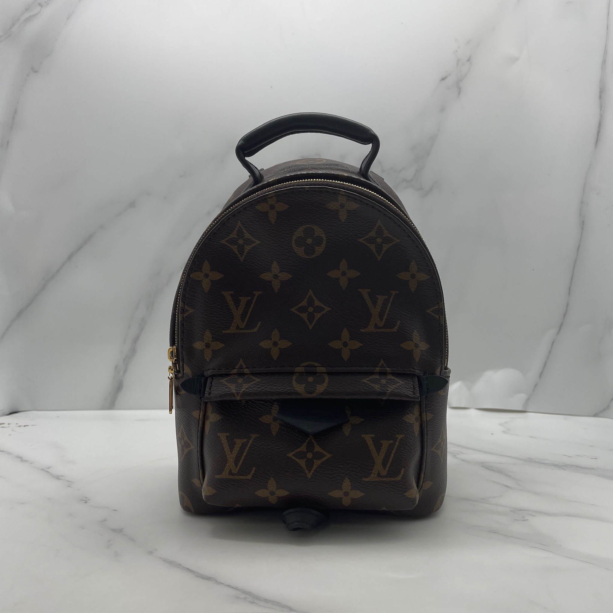 LV Palm Springs Mini Backpack