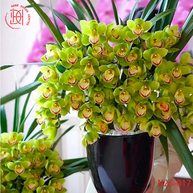 大花蕙蘭玉觀音-N26-017