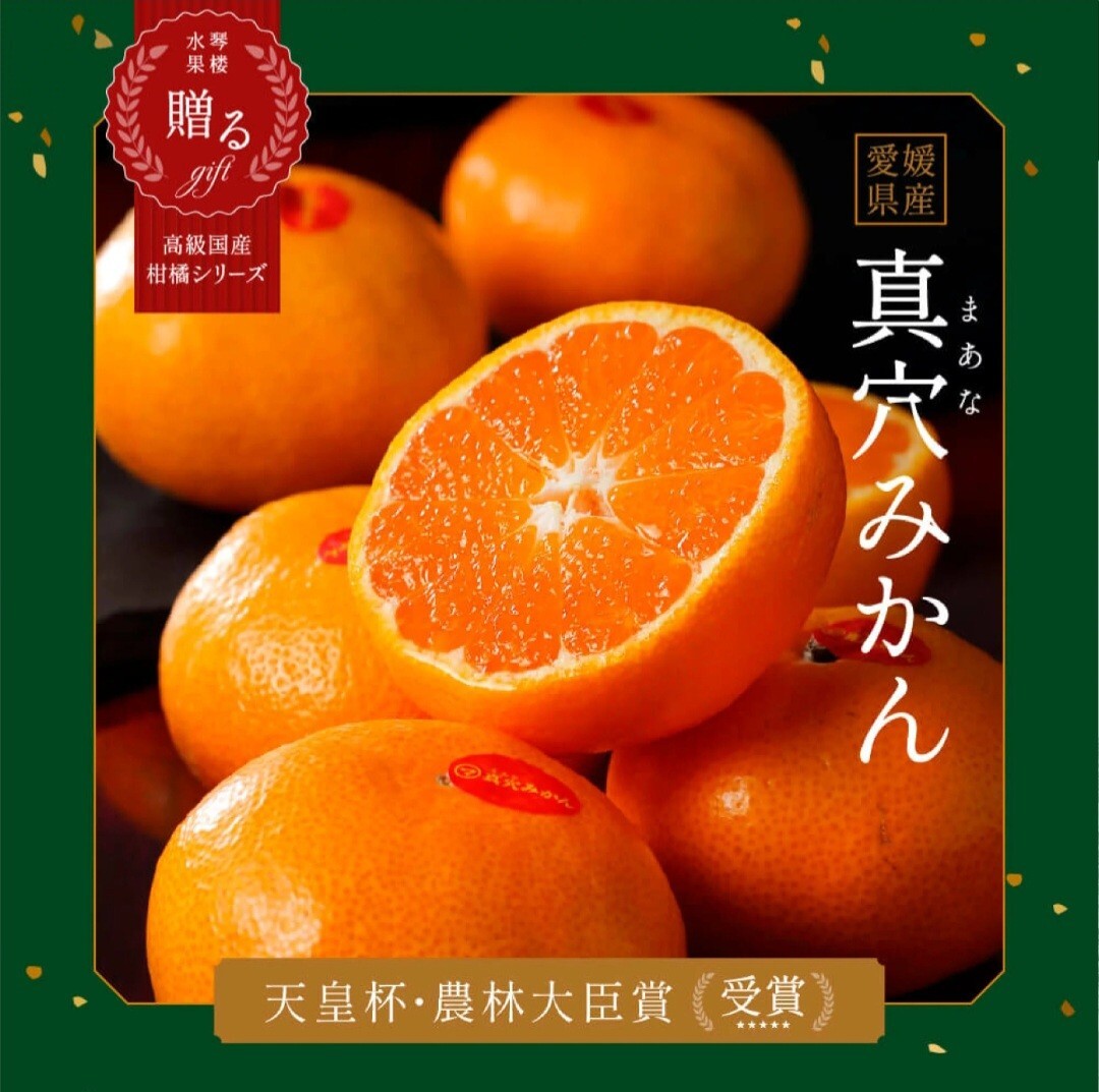 日本愛媛縣真穴蜜柑