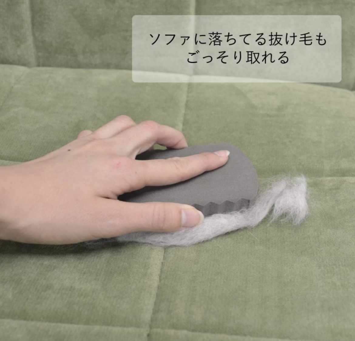 JP 寵物去毛髮海綿刷 7107 TK260110