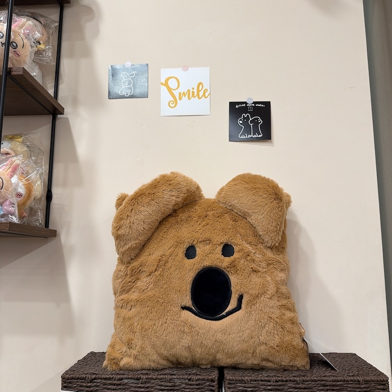 《01051》矮袋鼠dinotaeng方抱枕