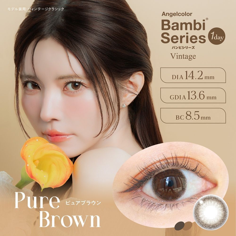 Bambi Series 1 Day (Pure Brown)(10片)