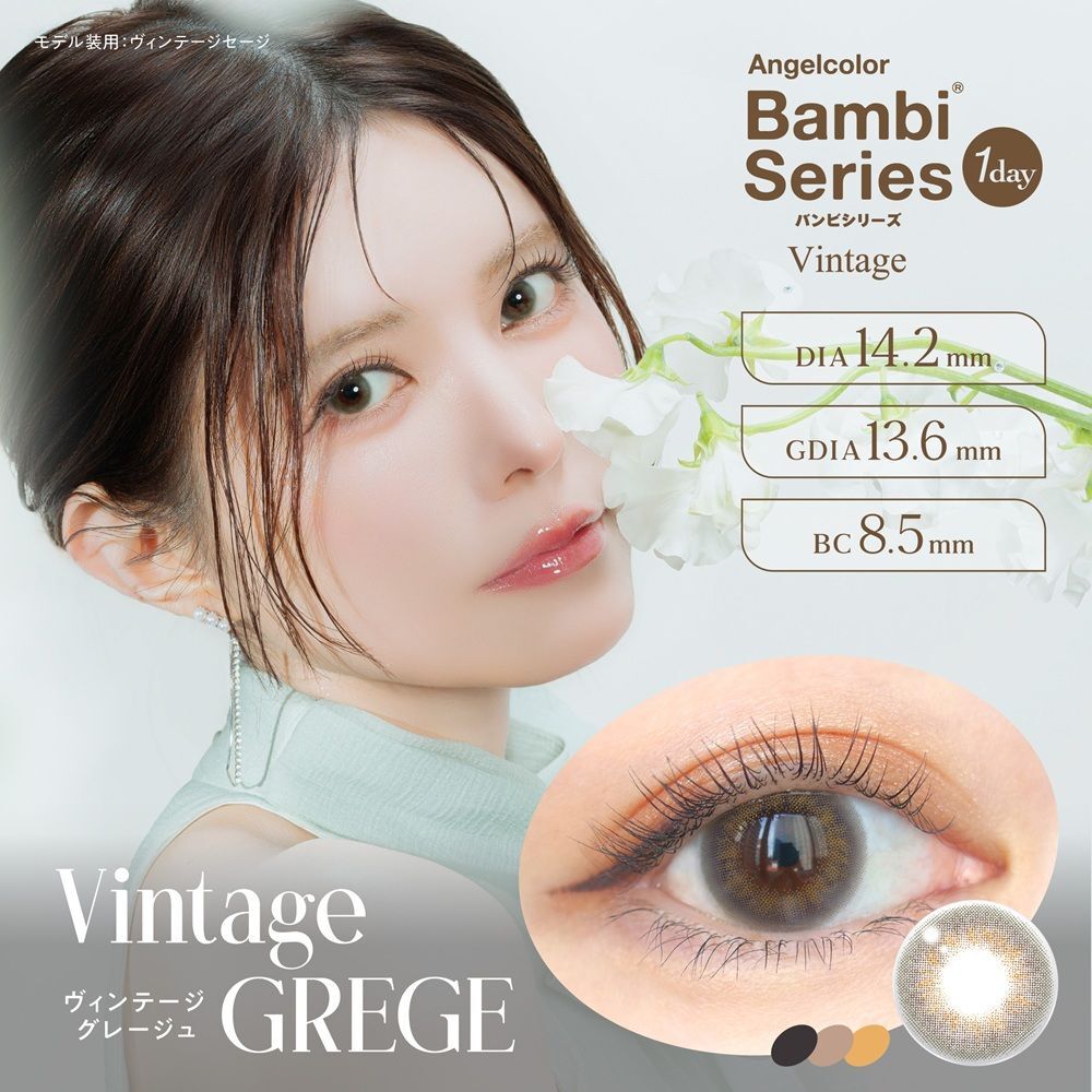 Bambi Series 1 Day (Vintage Grege)(10片)