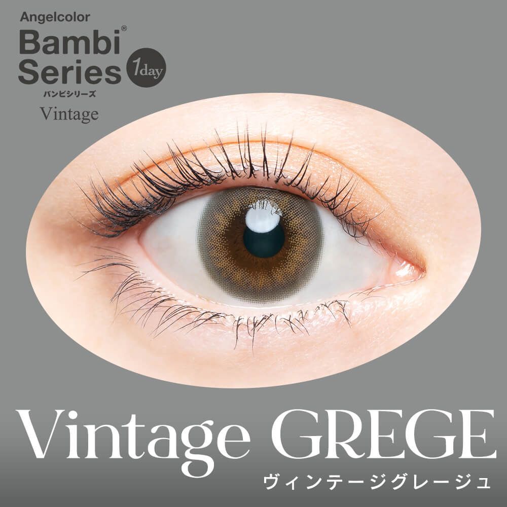 Bambi Series 1 Day (Vintage Grege)(10片)