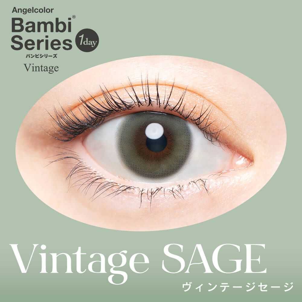 Bambi Series 1 Day (Vintage Sage) (10片)