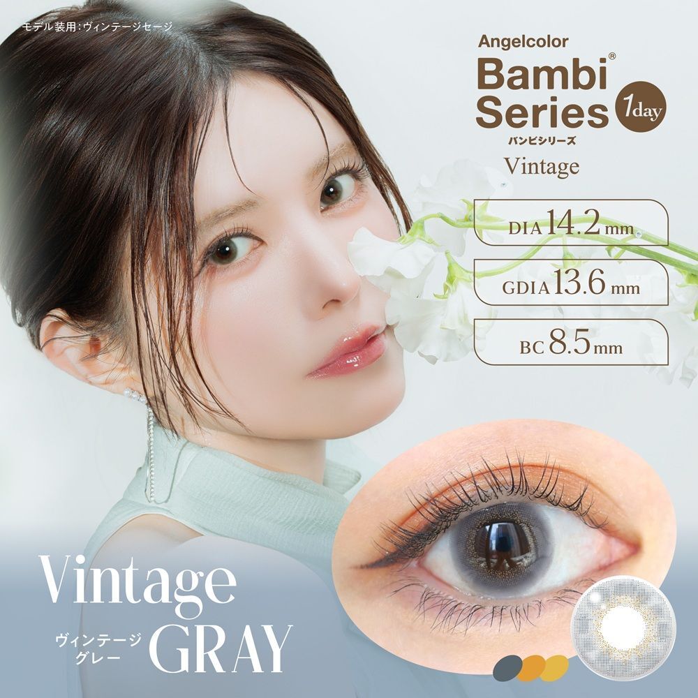 Bambi Series 1 Day (Vintage Gray) (10片)