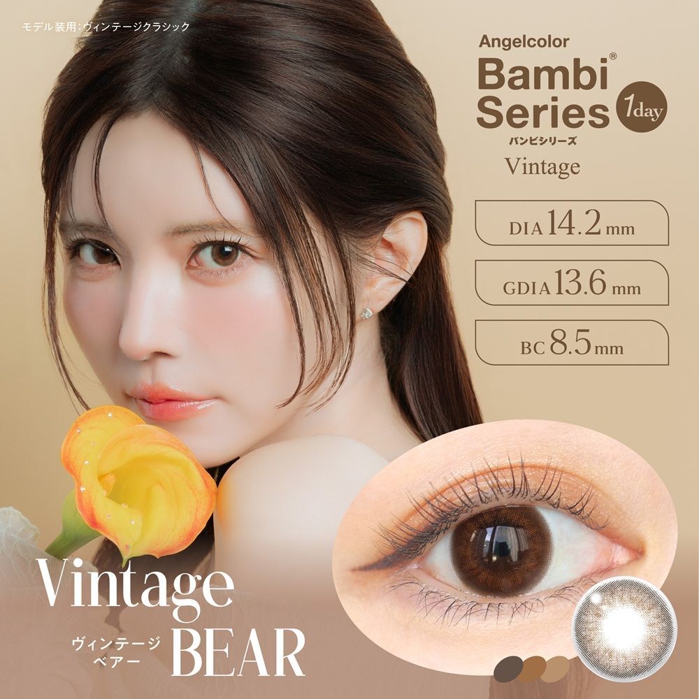 Bambi Series 1 Day (Vintage Bear) (10片)