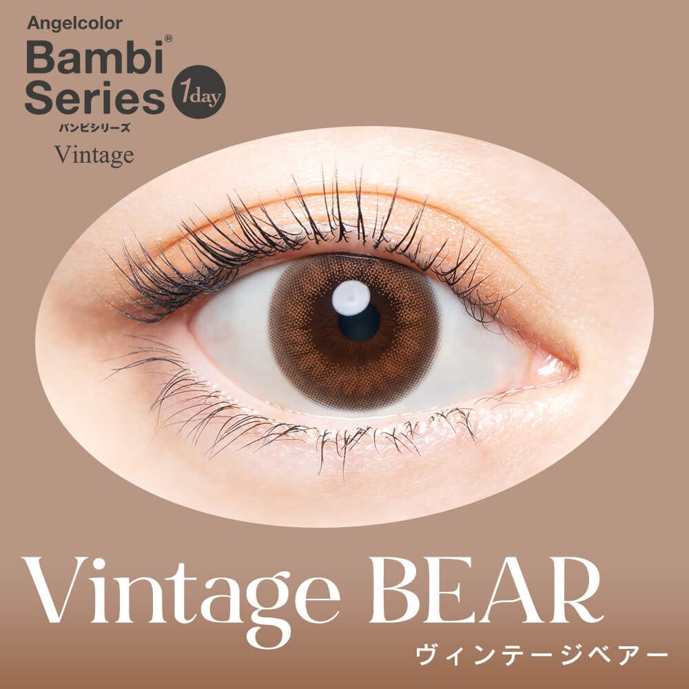 Bambi Series 1 Day (Vintage Bear) (10片)