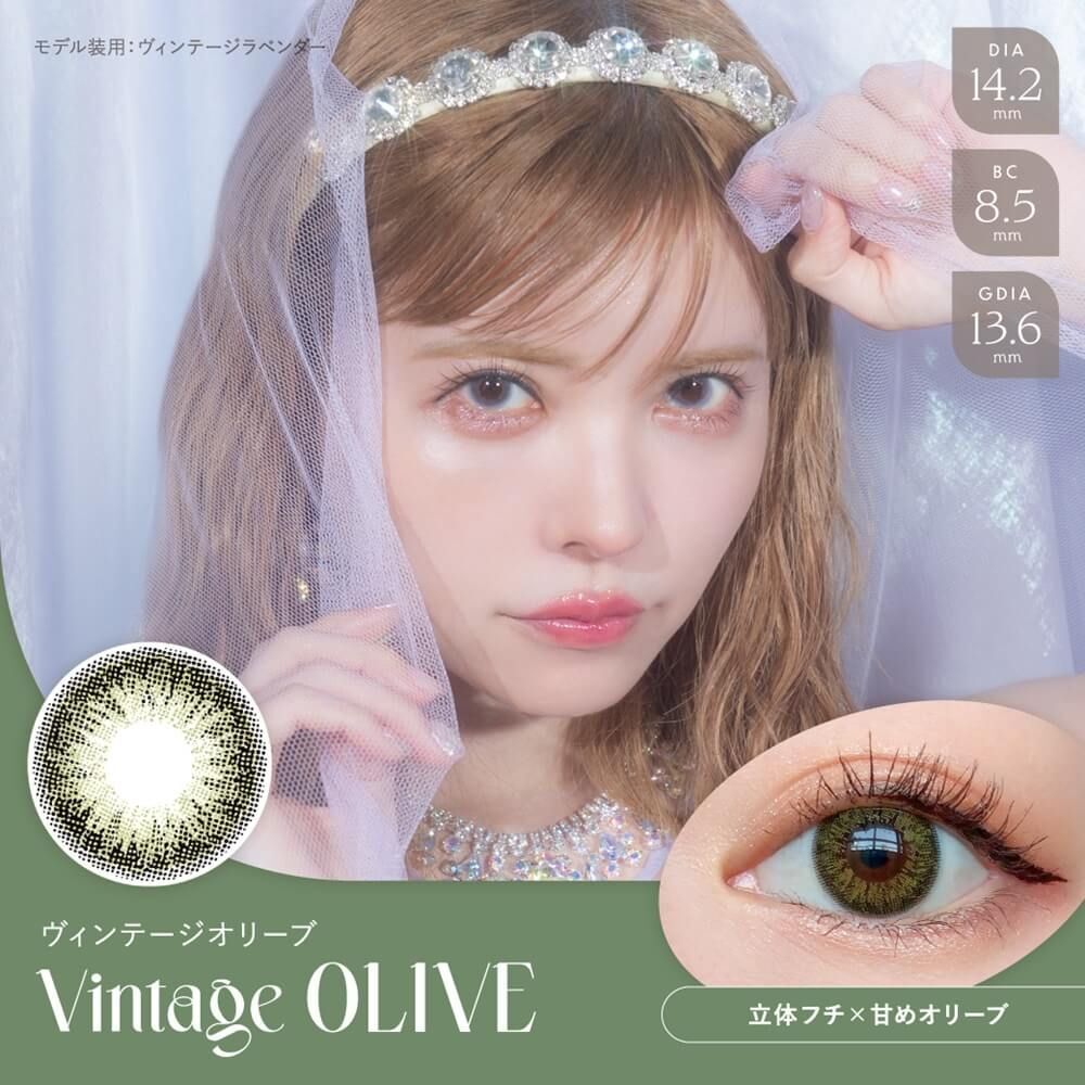 Bambi Series 1 Day (Vintage Olive) (10片)