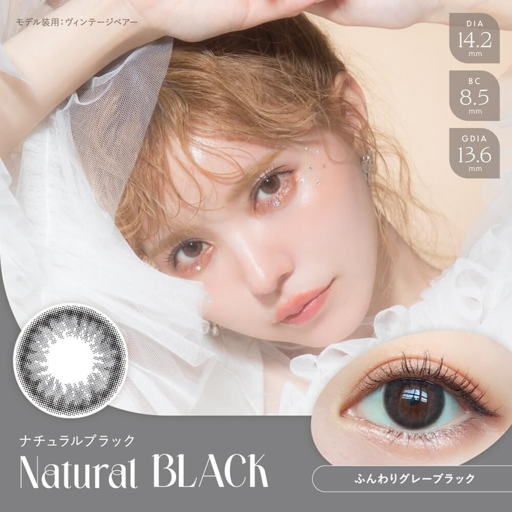 Bambi Series 1 Day (Natural Black) (10片)