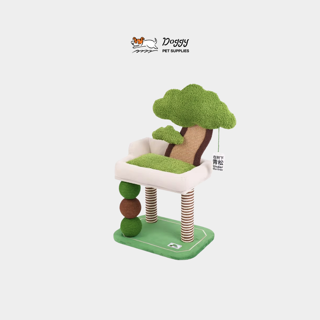 【 ZEZE 】青松盆栽貓爬架