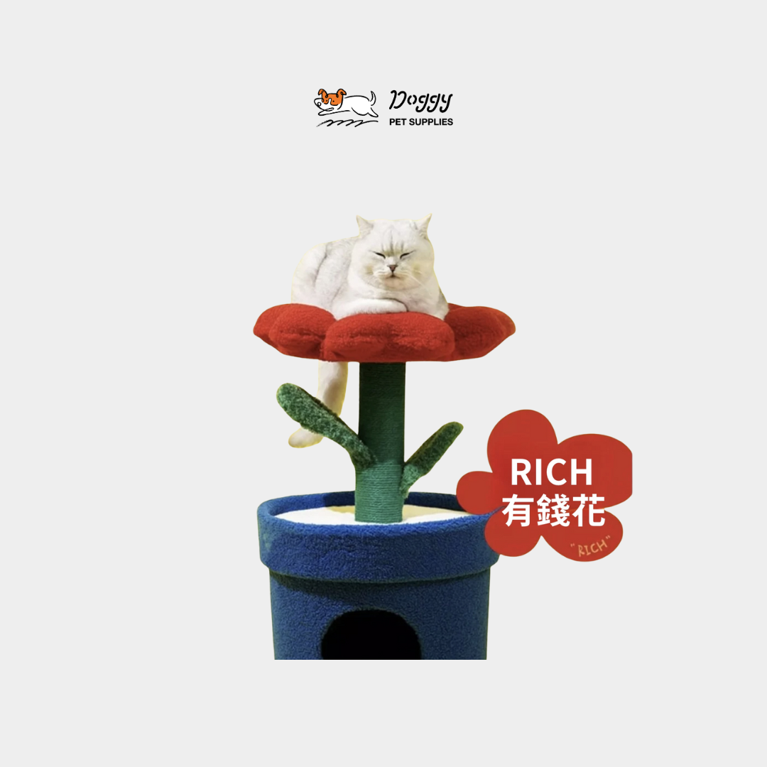 【 ZEZE 】有錢花寵物盆栽屋