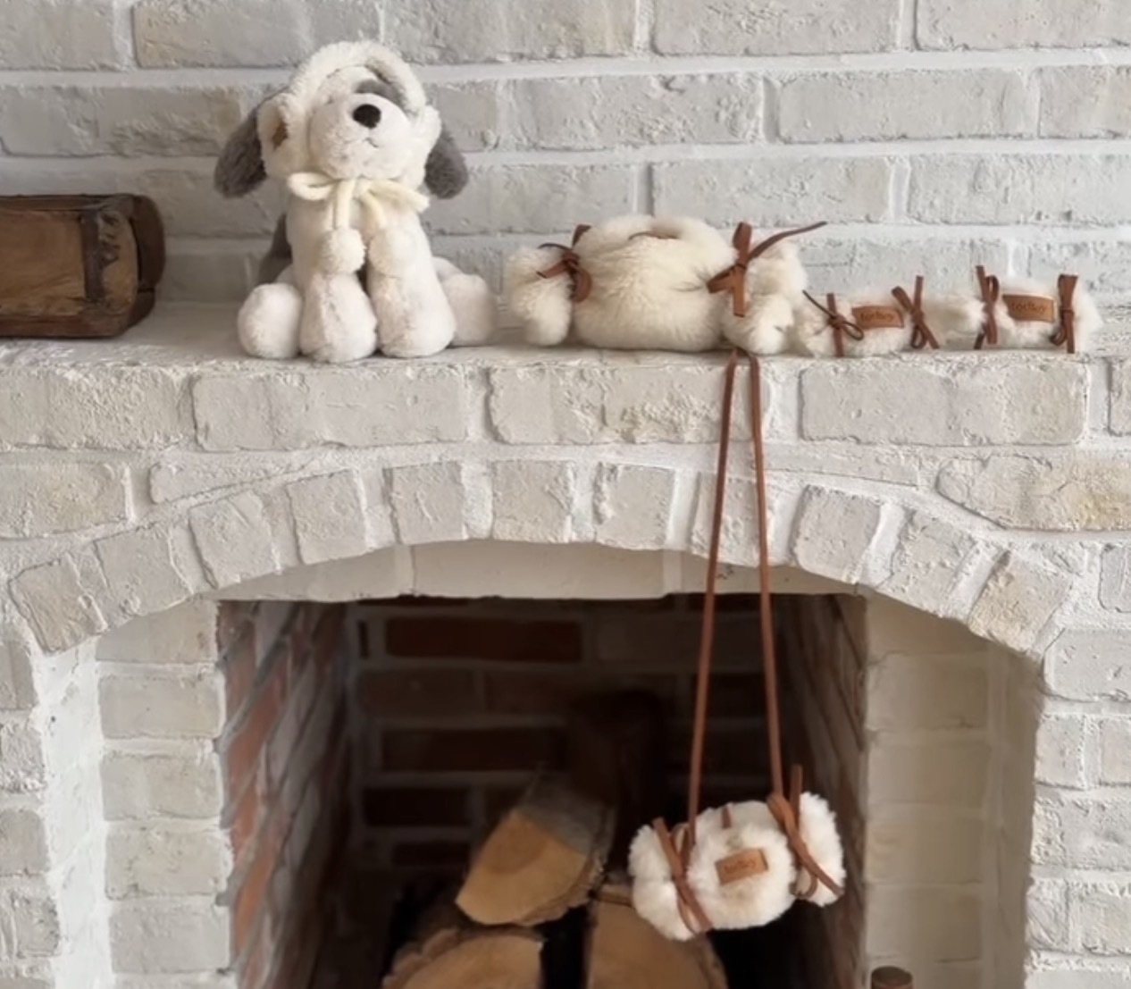 韓國 Todley | Teddy Candy Poop Bag 拾便包包