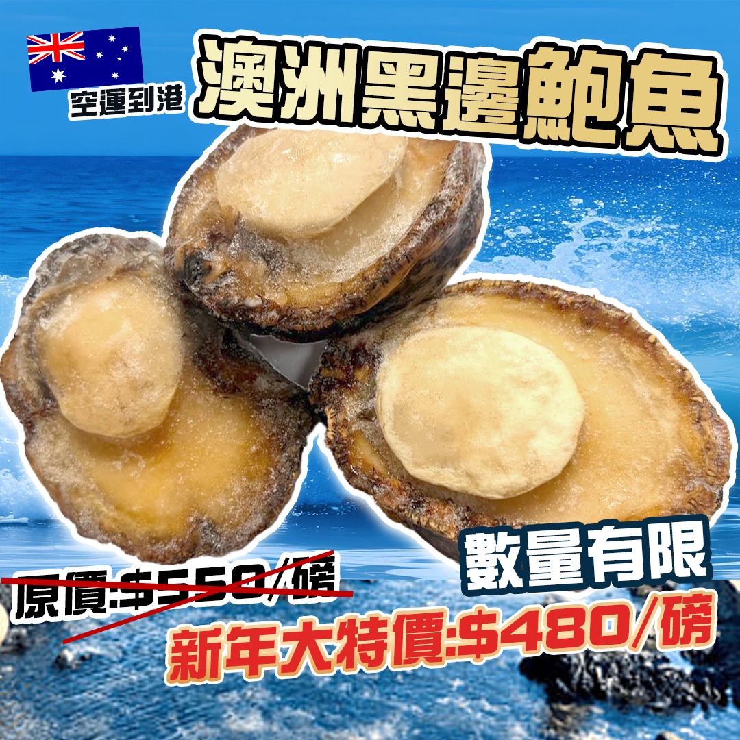 2-3頭 澳洲黑邊鮑魚