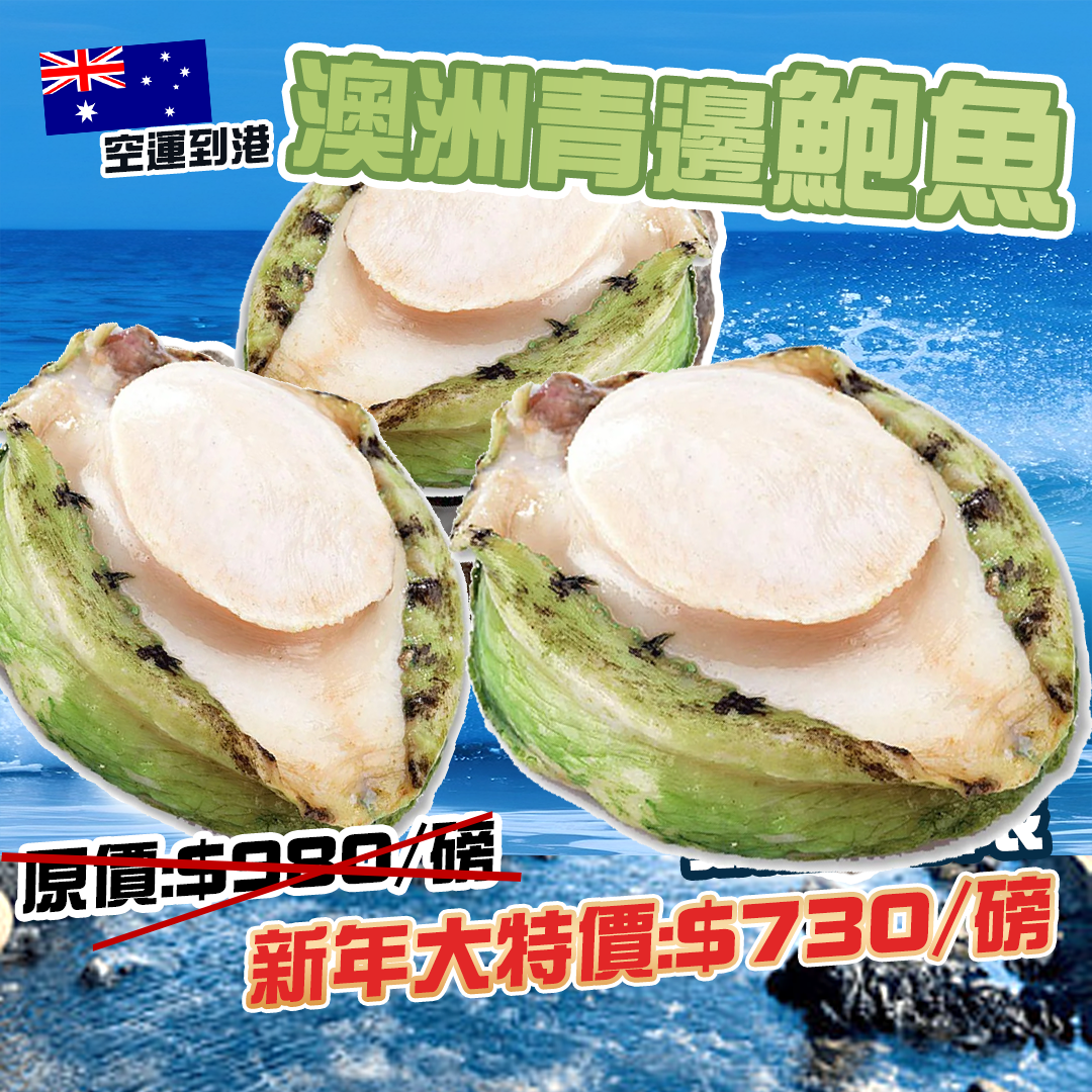 2-3頭 澳洲青邊鮑魚/澳洲急凍青邊鮑魚