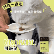 可泌保好吃的貓咪泌尿道保健品|Koolpal可沛寵藥