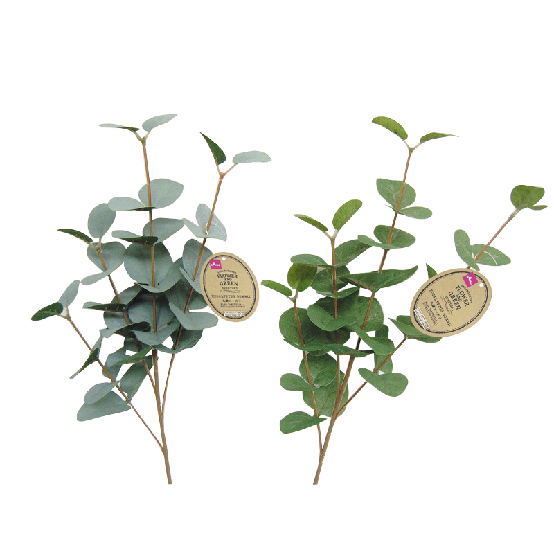 仿真裝飾植物/圓葉尤加利